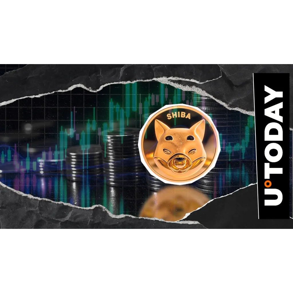 Shiba Inu SHIB deadline in three days determines token valuation and market response Shiba Inu SHIB deadline in three days determines token valuation and market response