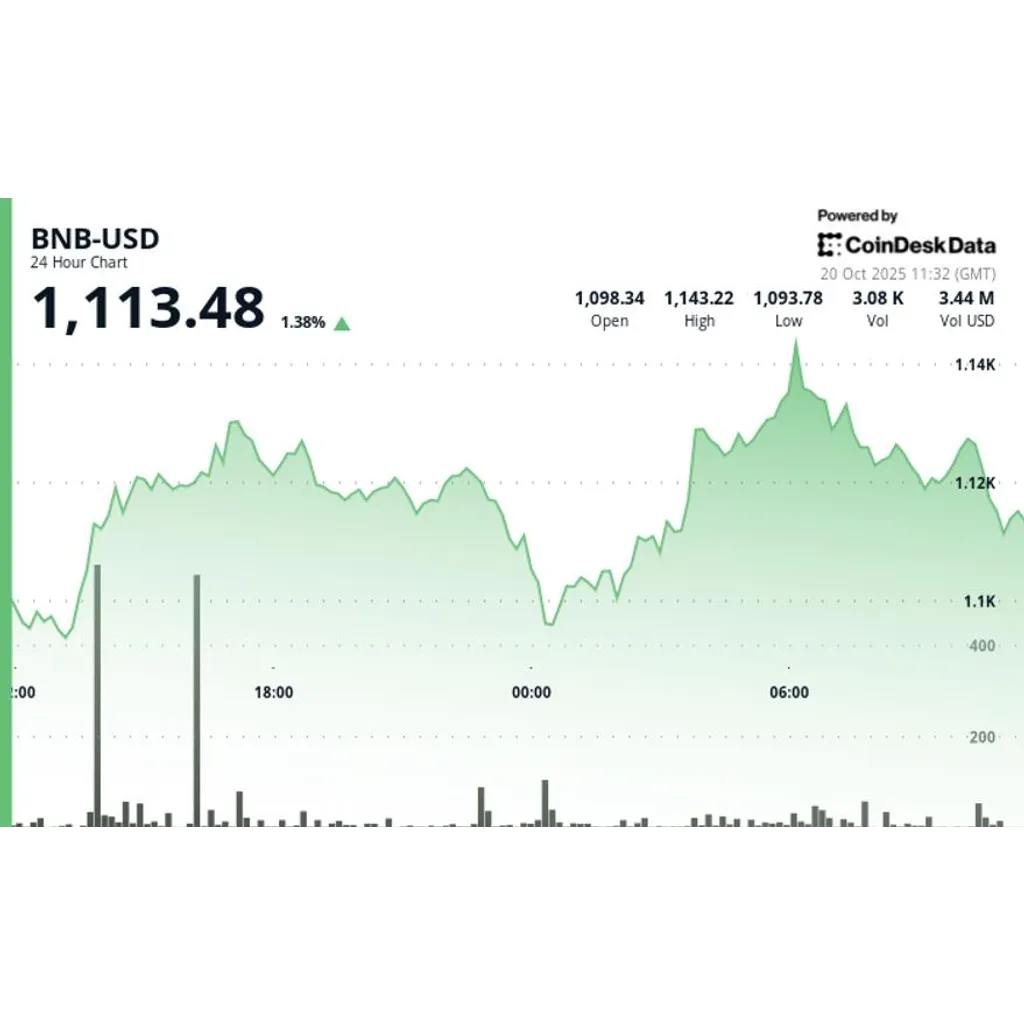 BNB climbs as crypto markets rebound on potential Fed policy shift BNB climbs as crypto markets rebound on potential Fed policy shift