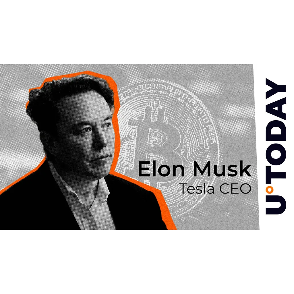 Elon Musk shares Bitcoin meme Elon Musk shares Bitcoin meme