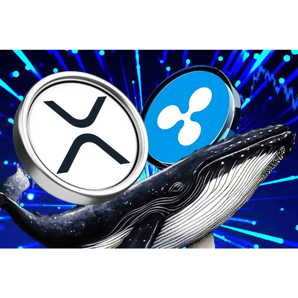 Ripple whales moved 0M in XRP amid a price drop… Ripple whales moved 0M in XRP amid a price drop…