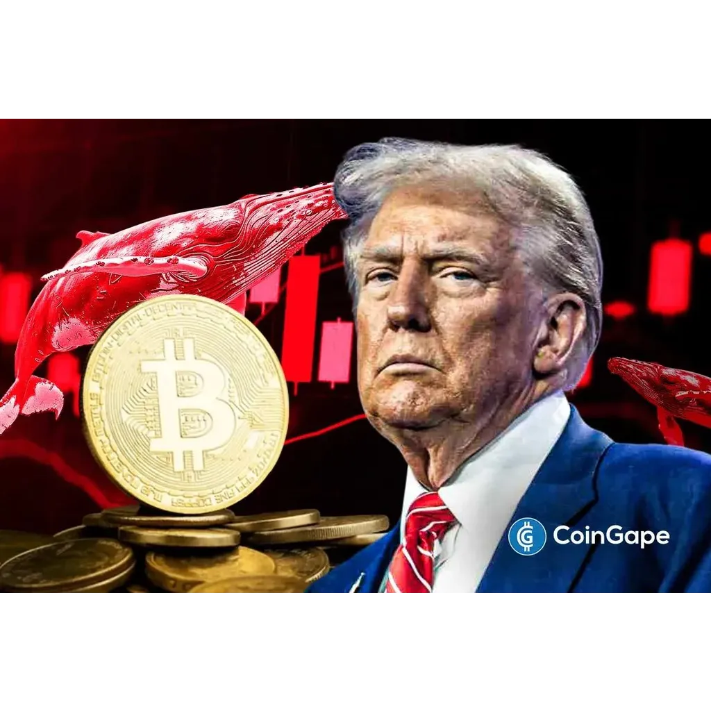 Will Bitcoin Crash Again as ‘Trump Insider’ Whale Dumps 6,599 BTC Will Bitcoin Crash Again as ‘Trump Insider’ Whale Dumps 6,599 BTC
