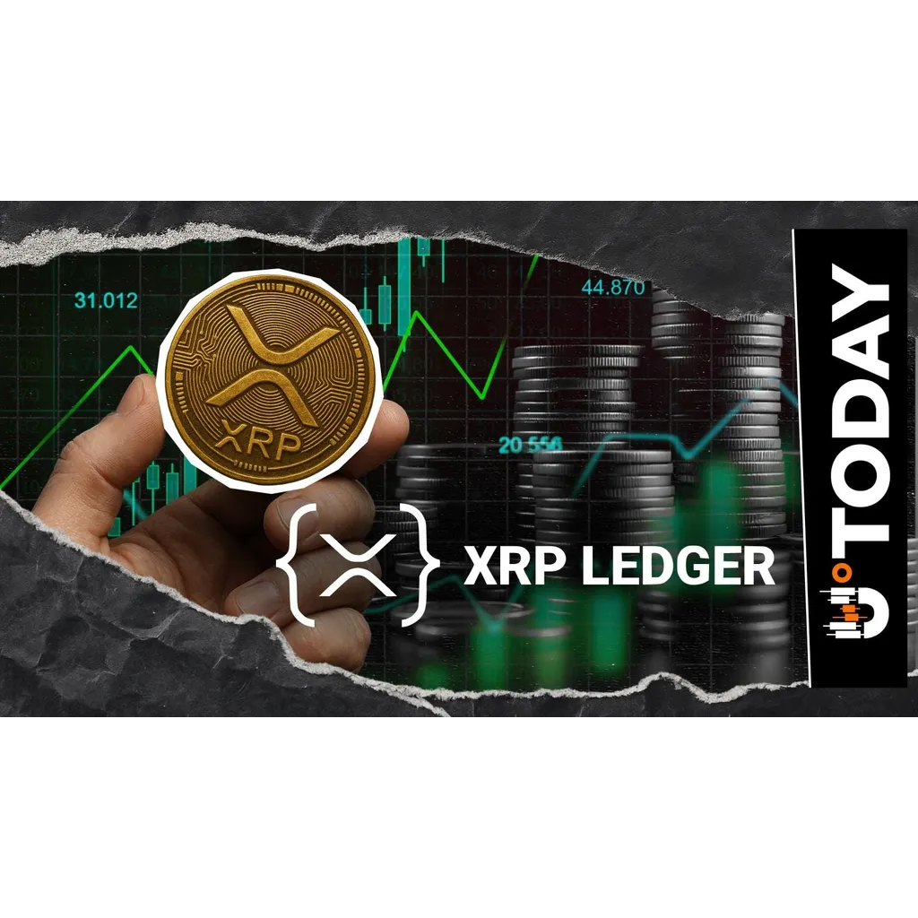 100% XRP Ledger Surge Is All You Need to Know About Future of XRP 100% XRP Ledger Surge Is All You Need to Know About Future of XRP