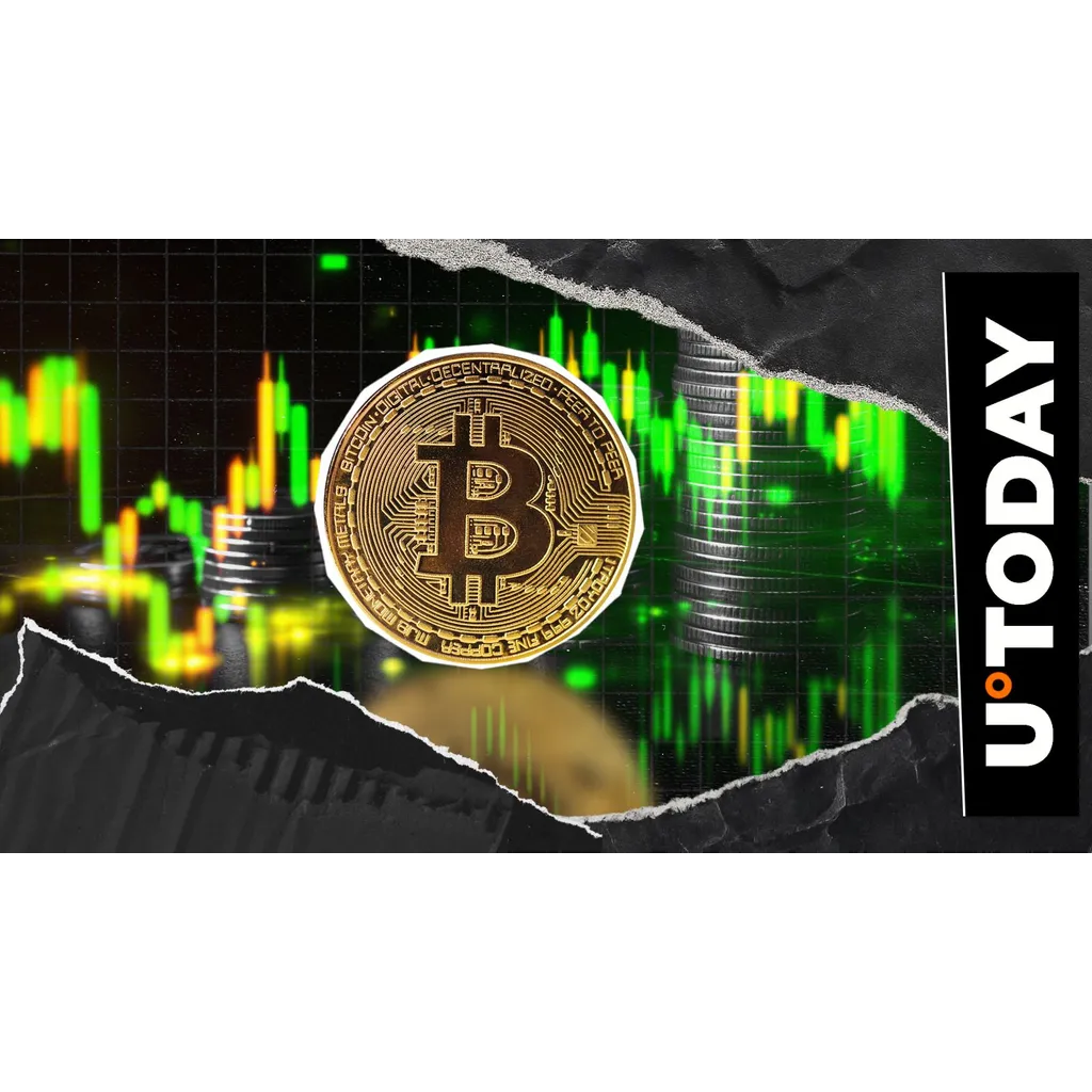 Bitcoin reclaims ,000 prompting questions about bear market duration Bitcoin reclaims ,000 prompting questions about bear market duration