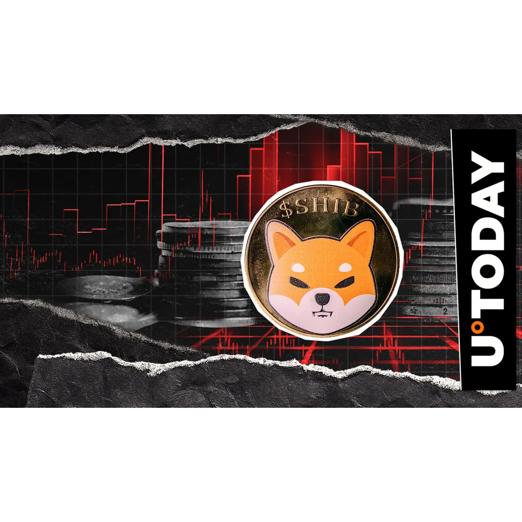 Shiba Inu risks losing more than ever according to analysis Shiba Inu risks losing more than ever according to analysis