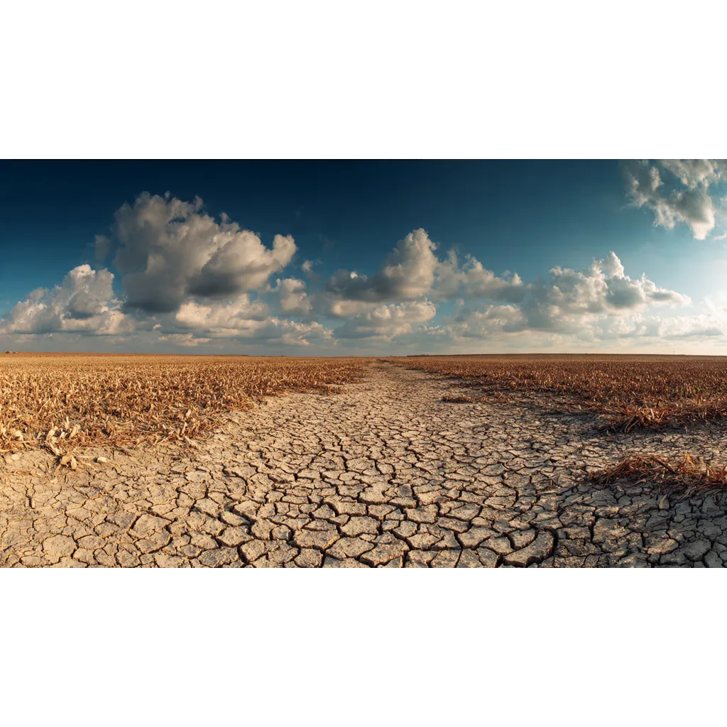 Ethereum Liquidity Dries Up As Demand Fails To Keep Pace Ethereum Liquidity Dries Up As Demand Fails To Keep Pace