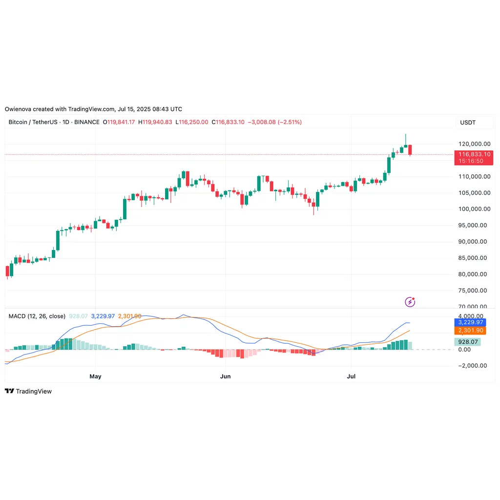 Bitcoin’s Rally No Mystery: Anthony Pompliano Breaks Down The Major Factors Fueling It | Bitcoinist.com Bitcoin’s Rally No Mystery: Anthony Pompliano Breaks Down The Major Factors Fueling It | Bitcoinist.com