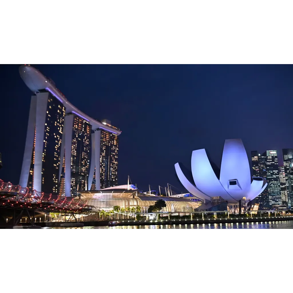Singapore and UAE lead global digital currency usage according to study Singapore and UAE lead global digital currency usage according to study