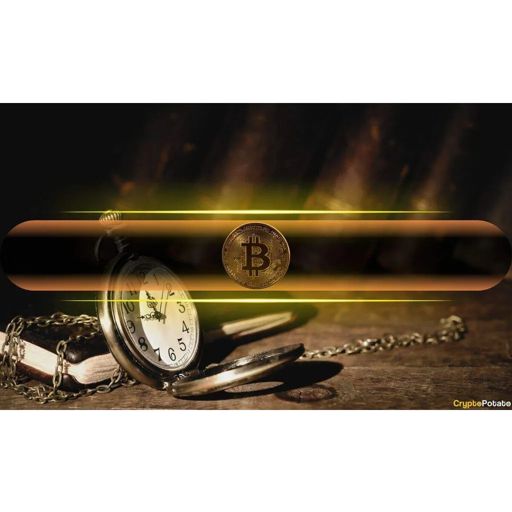 The Ultimate Launchpad? Why Bitcoin’s Current Price Action Mirrors the 2017 and 2020 Bull Runs The Ultimate Launchpad? Why Bitcoin’s Current Price Action Mirrors the 2017 and 2020 Bull Runs