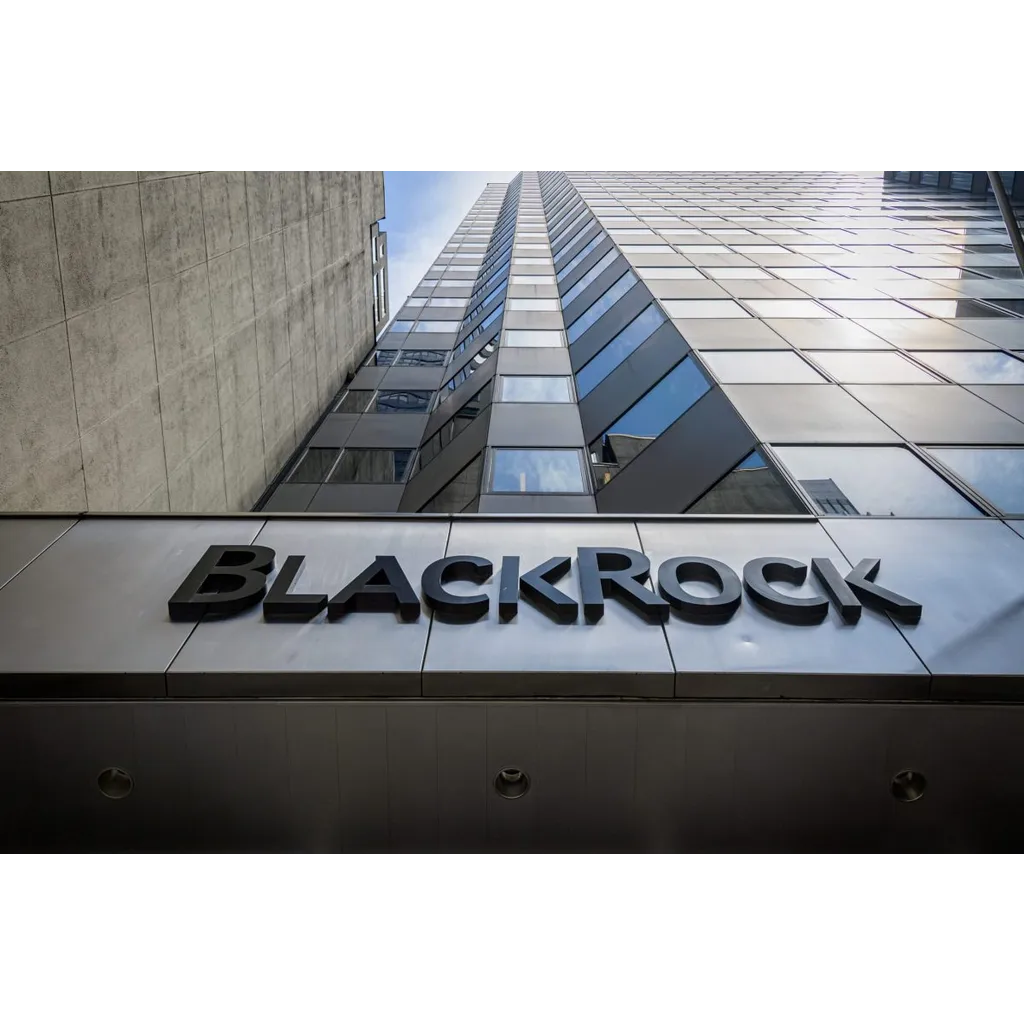 BlackRock says investors view Bitcoin as digital gold not a payment network BlackRock says investors view Bitcoin as digital gold not a payment network