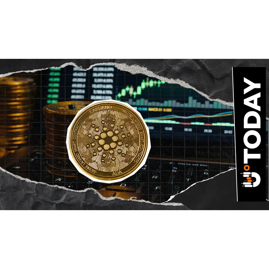 Cardano (ADA) Volume Soars 79% as Price Sees New Weekly Rebound Cardano (ADA) Volume Soars 79% as Price Sees New Weekly Rebound