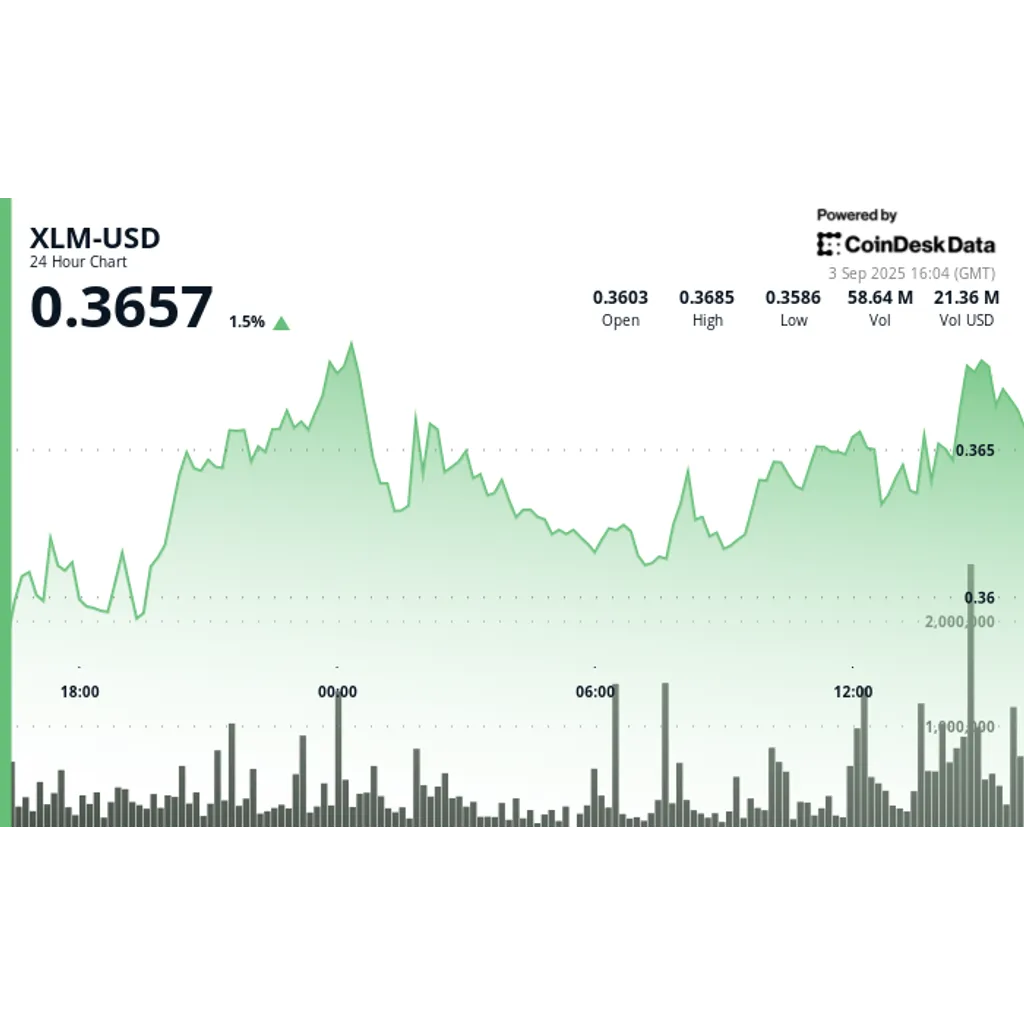 Stellar Protocol 20 upgrade halts XLM trading on Kraken and Coinbase on January 30. Stellar Protocol 20 upgrade halts XLM trading on Kraken and Coinbase on January 30.