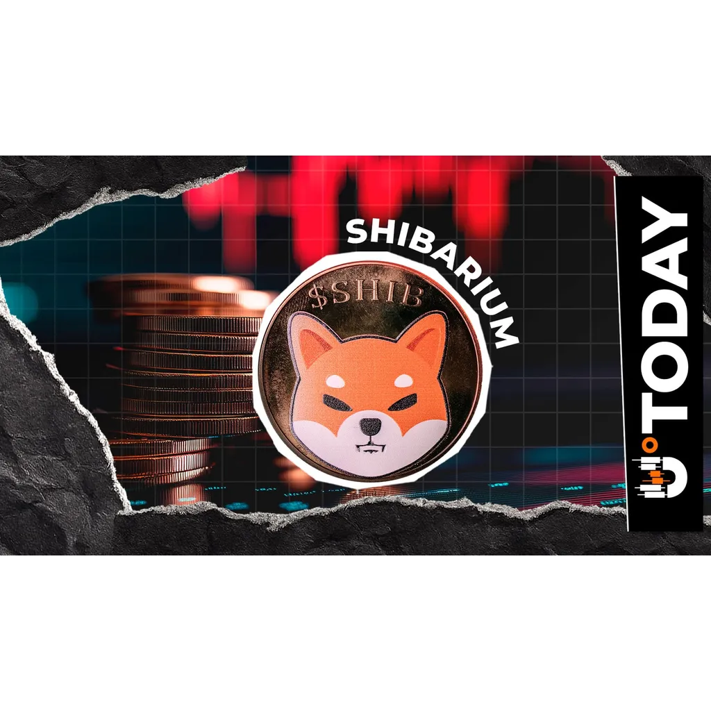 Shiba Inu: Shibarium Transactions See 1,889% Drop Amid Reset Shiba Inu: Shibarium Transactions See 1,889% Drop Amid Reset