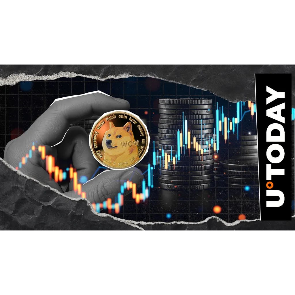Dogecoin Director Announces Plans for Enhanced Utility and Functionality Dogecoin Director Announces Plans for Enhanced Utility and Functionality