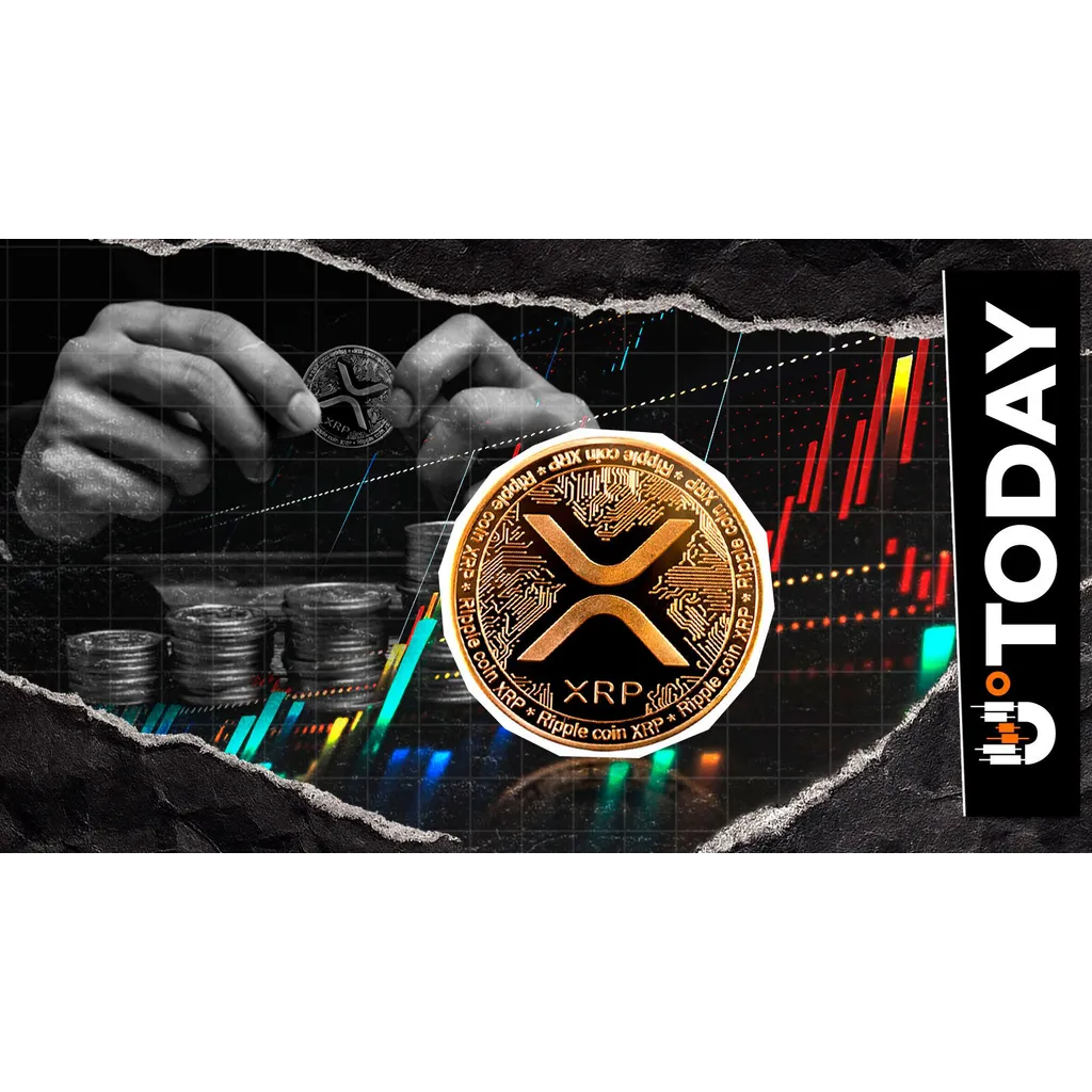 XRP-based loans to launch in December according to details provided XRP-based loans to launch in December according to details provided