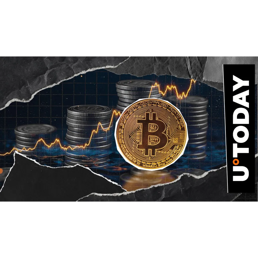 Peter Brandt recommends 10 percent Bitcoin allocation for all portfolios Peter Brandt recommends 10 percent Bitcoin allocation for all portfolios