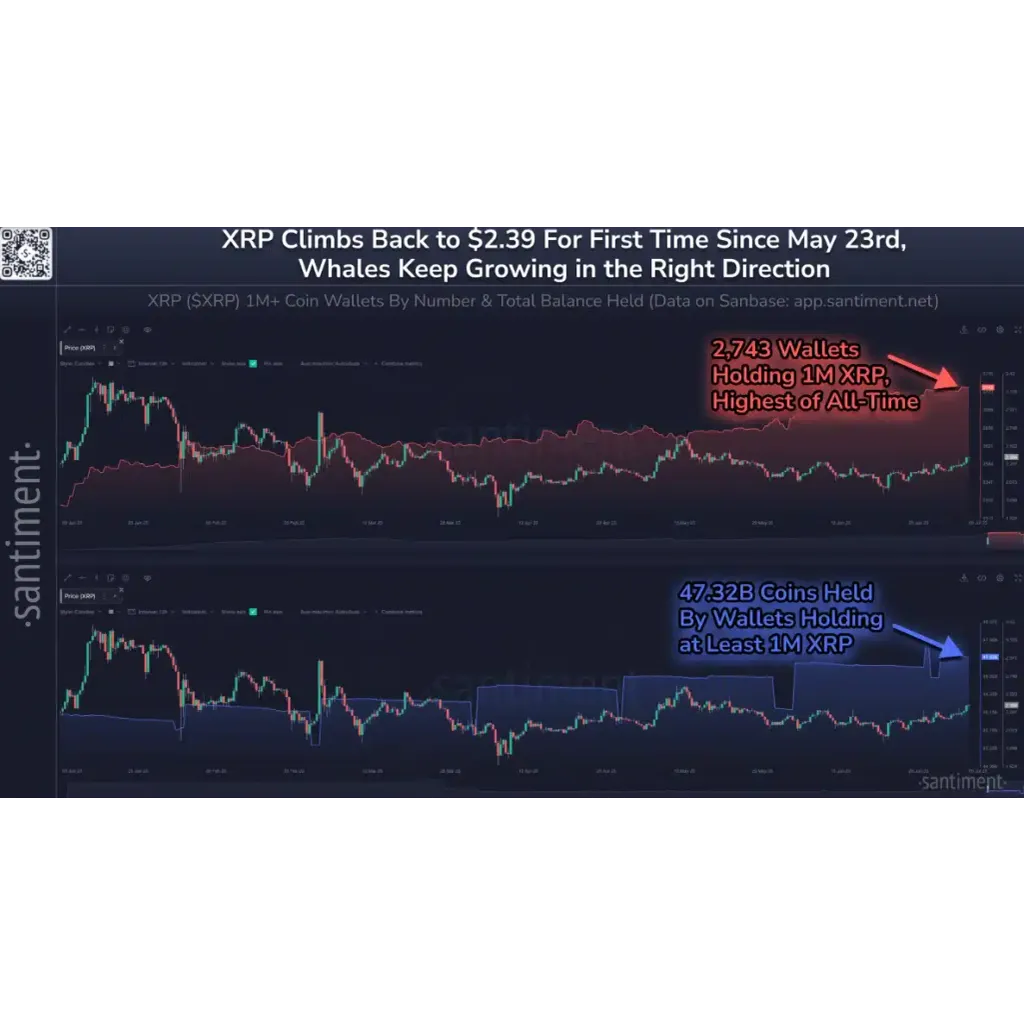 XRP hits new market cap milestone, flips Tether USDT on the rankings XRP hits new market cap milestone, flips Tether USDT on the rankings