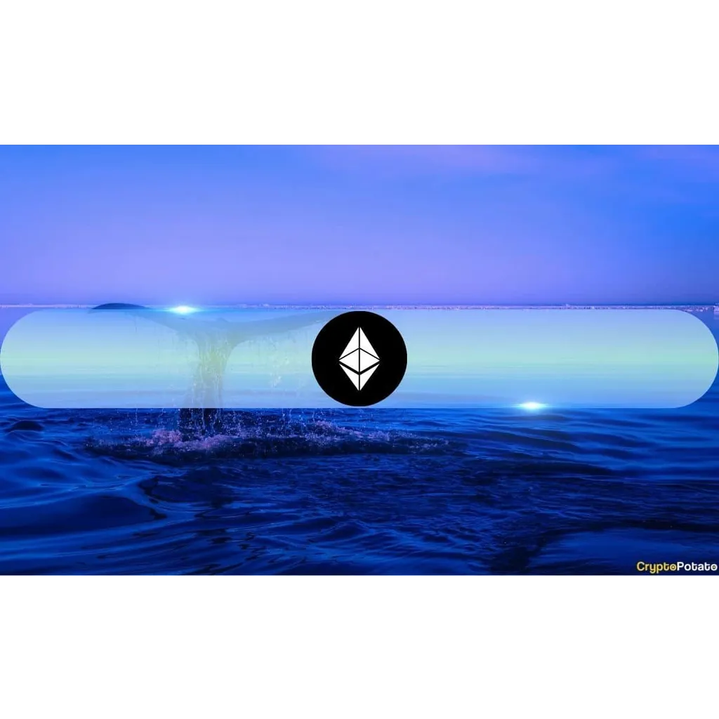 Ethereum Whale Addresses Reach Record High in Holdings Ethereum Whale Addresses Reach Record High in Holdings