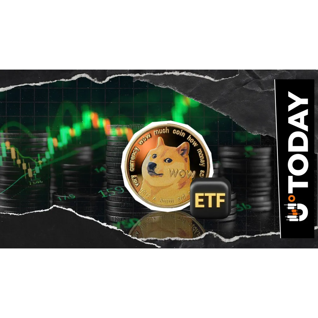 Dogecoin liquidation imbalance surges 165815 percent despite a drop in trading volume Dogecoin liquidation imbalance surges 165815 percent despite a drop in trading volume