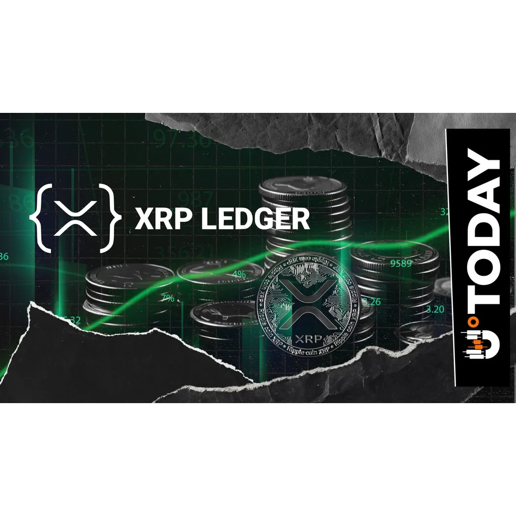 3,203 New XRP Accounts: Fundamental Spike on XRP Ledger Spotted 3,203 New XRP Accounts: Fundamental Spike on XRP Ledger Spotted