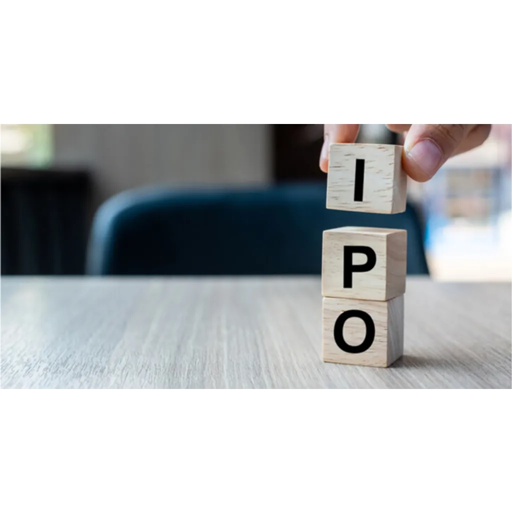 Gemini exchange files for .2 billion IPO with backing from Goldman Sachs and Morgan Stanley in 2024 Gemini exchange files for .2 billion IPO with backing from Goldman Sachs and Morgan Stanley in 2024