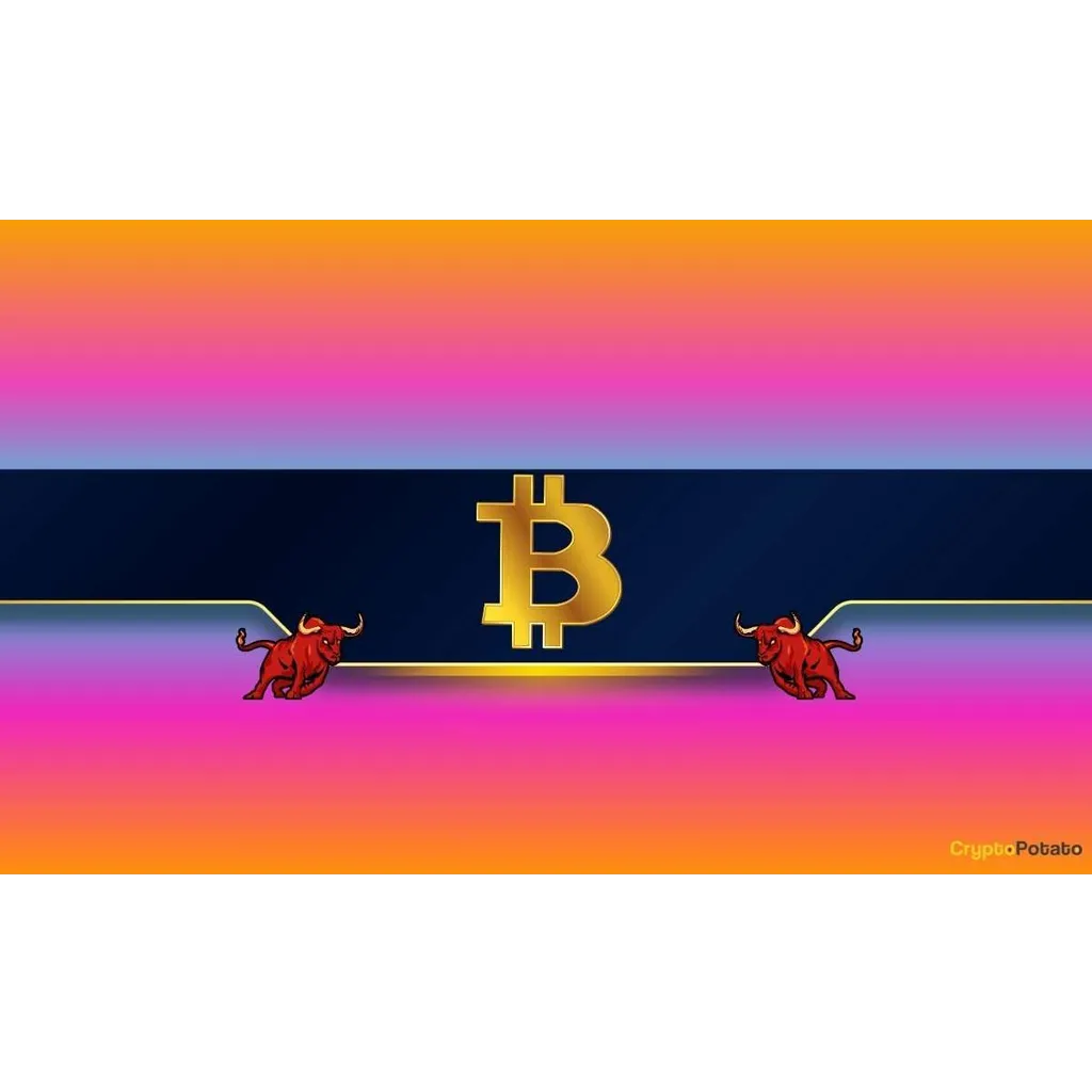 Bitcoin faces potential decline toward the thirty seven thousand dollar long term holder zone Bitcoin faces potential decline toward the thirty seven thousand dollar long term holder zone