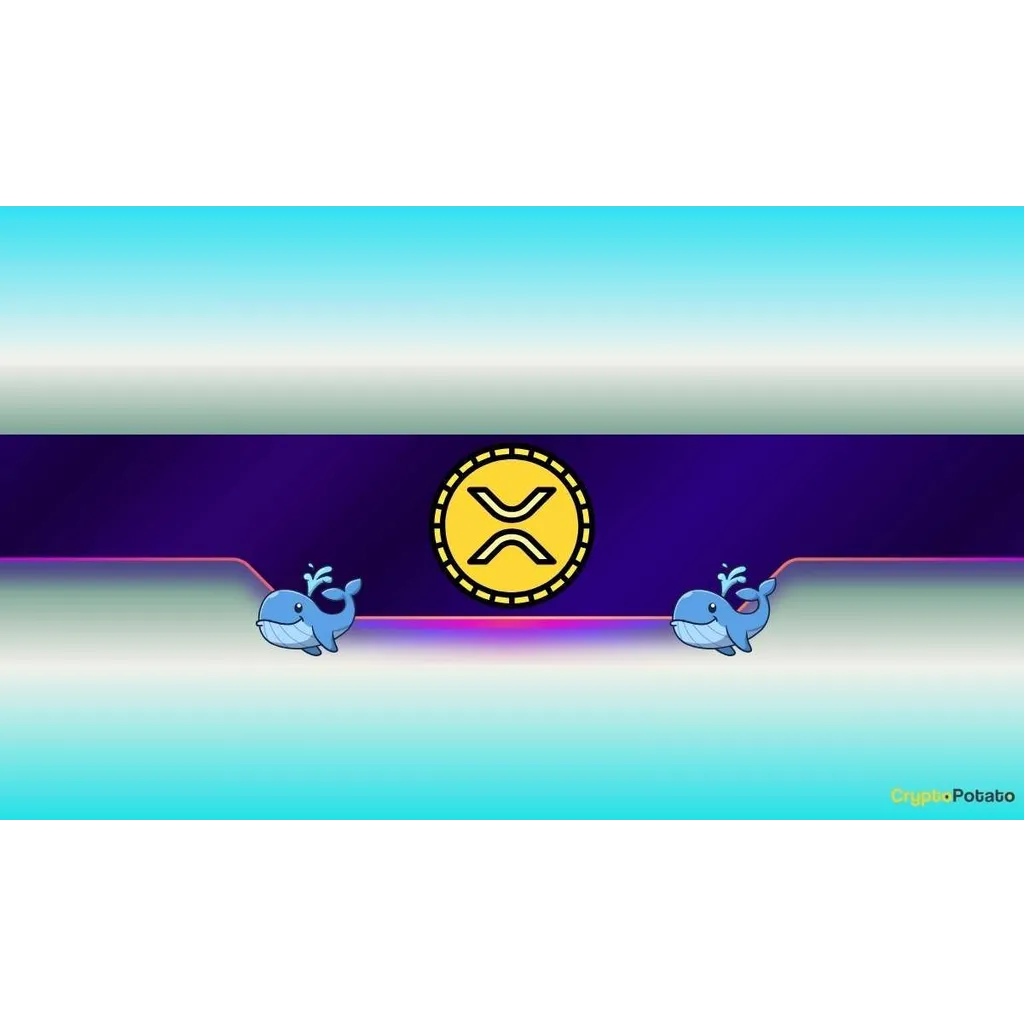 Ripple whales acquired 360M XRP during 12% price decline Ripple whales acquired 360M XRP during 12% price decline