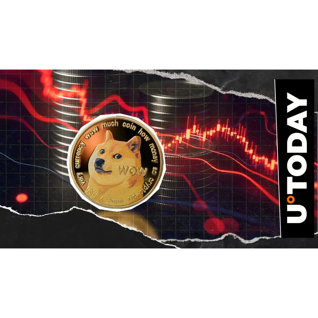 Dogecoin records 3745 percent liquidation imbalance during price decline Dogecoin records 3745 percent liquidation imbalance during price decline