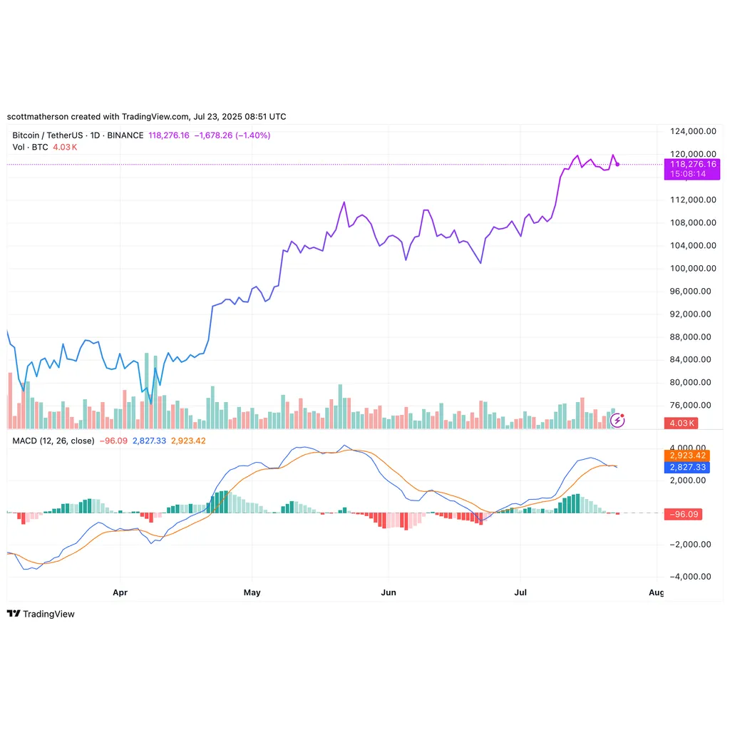 Elon Musk’s SpaceX Moves Bitcoin Holdings For The First Time In 3 Years, Here’s Where It Went Elon Musk’s SpaceX Moves Bitcoin Holdings For The First Time In 3 Years, Here’s Where It Went