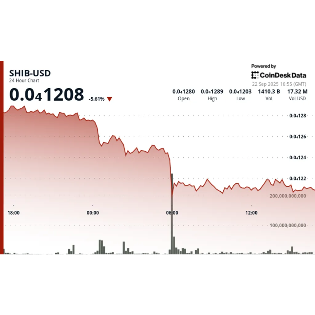 Tanks falls 5 percent as SHIB and DOGE recover from record lows Tanks falls 5 percent as SHIB and DOGE recover from record lows