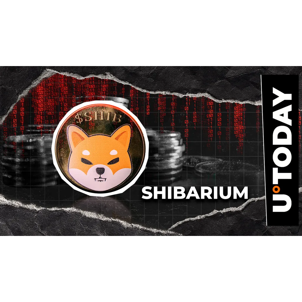Shibarium bridge paused after hack asset recovery unclear Shibarium bridge paused after hack asset recovery unclear
