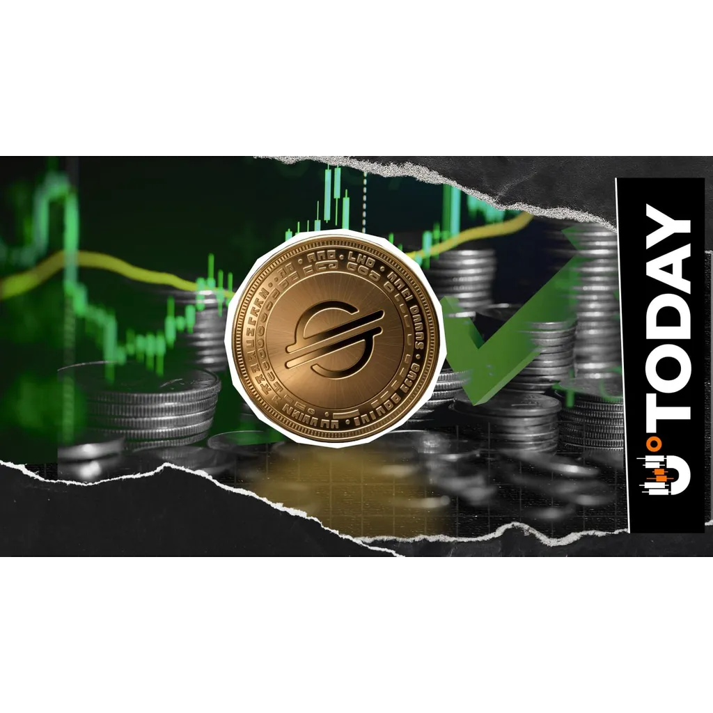 Stellar CEO Reveals Where Real Opportunity Lies in Crypto Market: Details Stellar CEO Reveals Where Real Opportunity Lies in Crypto Market: Details
