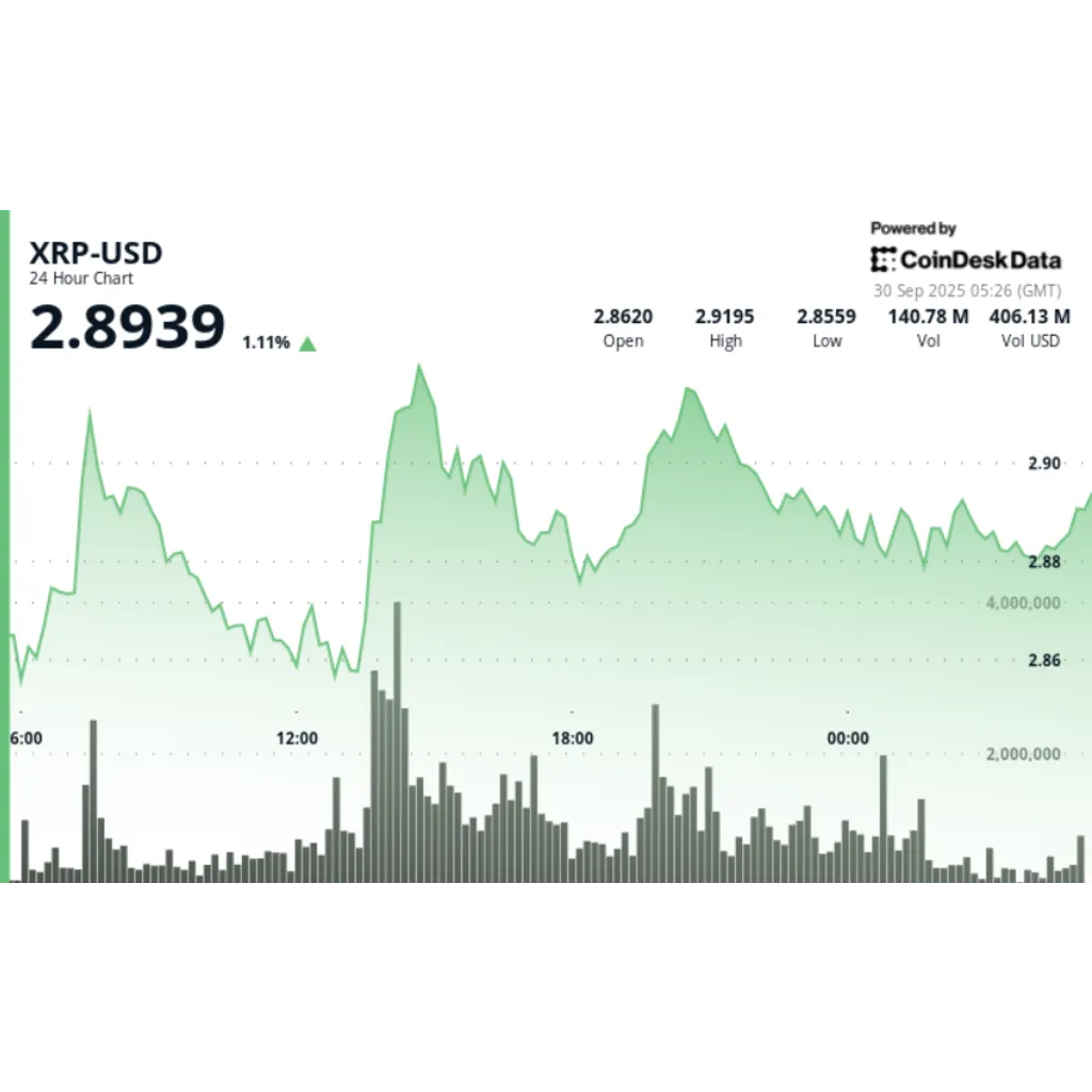 XRP rallies into SEC catalyst window with resistance at .93 XRP rallies into SEC catalyst window with resistance at .93