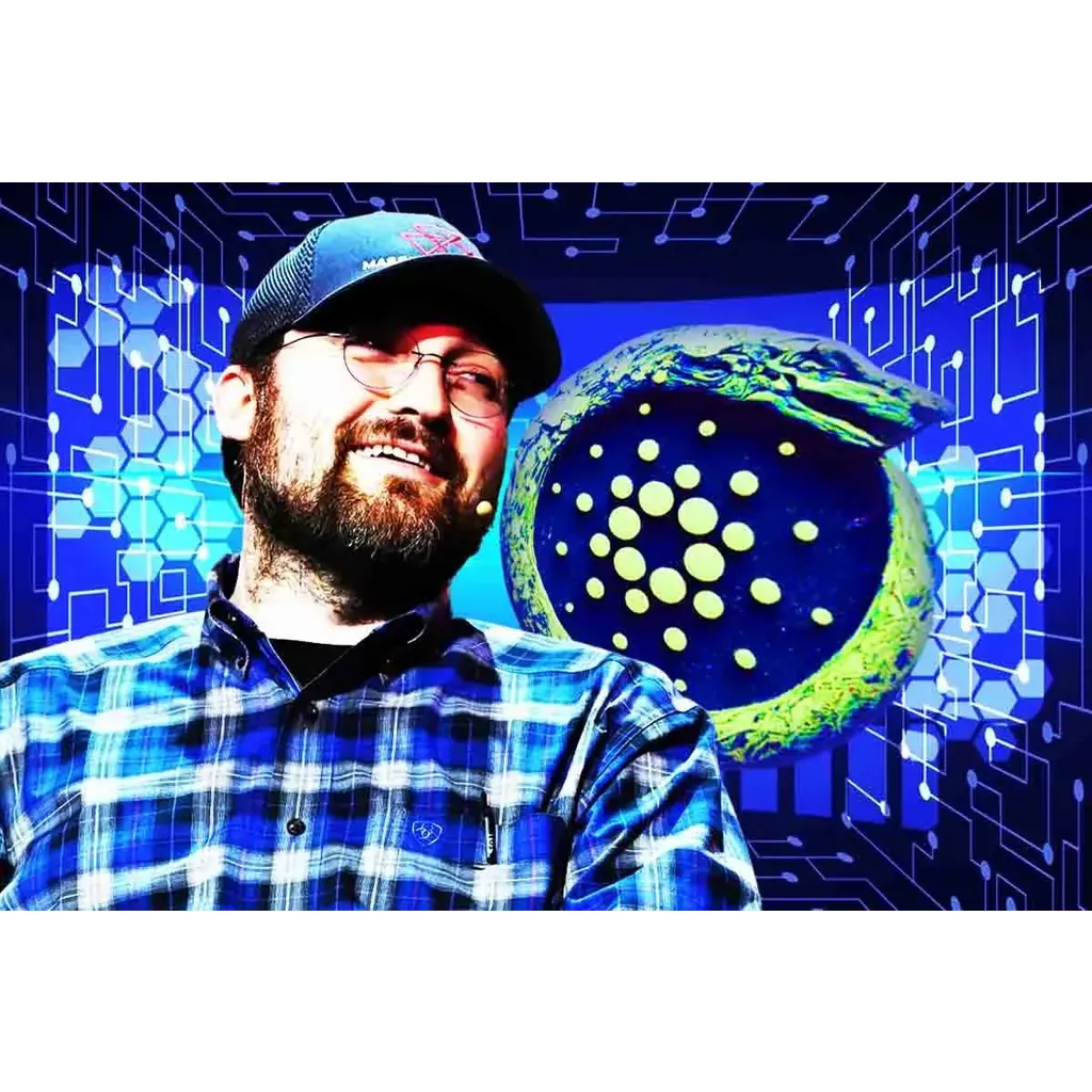 Charles Hoskinson Says Cardano Needs Executive Voice To Lead Bitcoin DeFi Push Charles Hoskinson Says Cardano Needs Executive Voice To Lead Bitcoin DeFi Push
