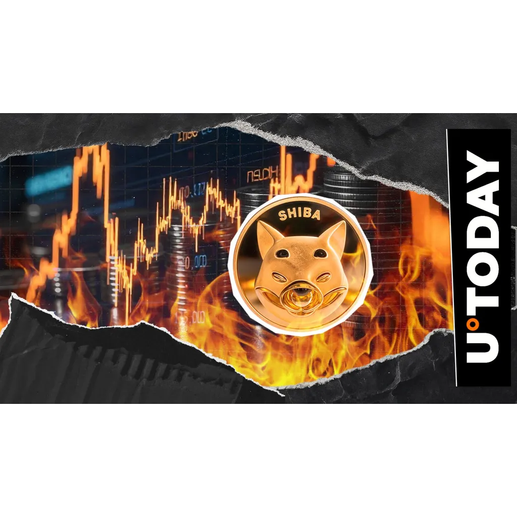 Shiba Inu token burn removes millions as metric increases ten thousand percent Shiba Inu token burn removes millions as metric increases ten thousand percent