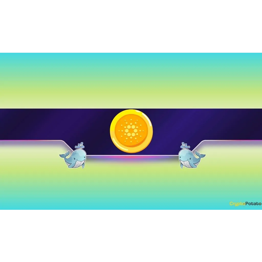 What It Means for Cardano’s Price What It Means for Cardano’s Price