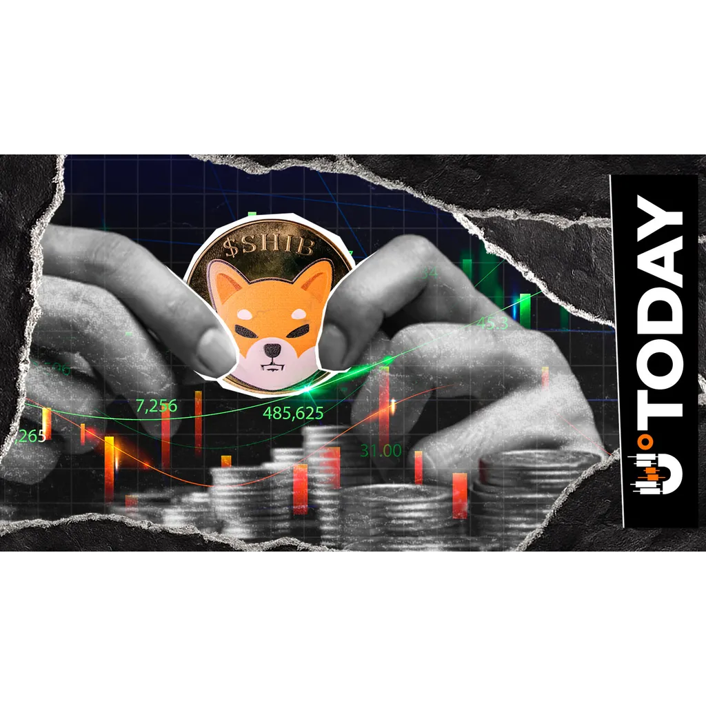 No Panic, Just Moving up Together, Top SHIB Exec Says No Panic, Just Moving up Together, Top SHIB Exec Says