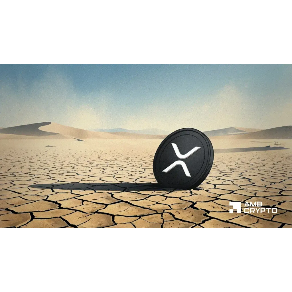 XRP shorts pile up – Is a short squeeze toward .36 next? XRP shorts pile up – Is a short squeeze toward .36 next?