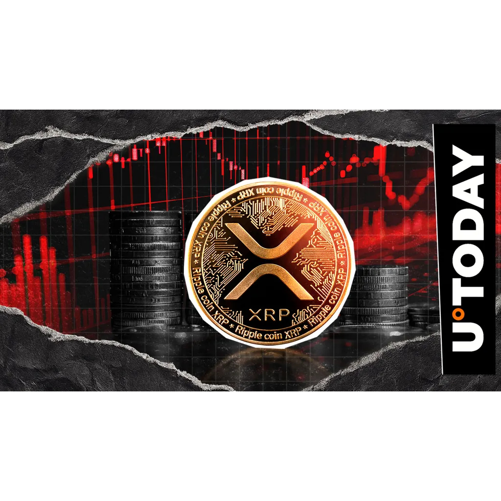 XRP price volatility results in 1,000 percent liquidation imbalance during short squeeze XRP price volatility results in 1,000 percent liquidation imbalance during short squeeze