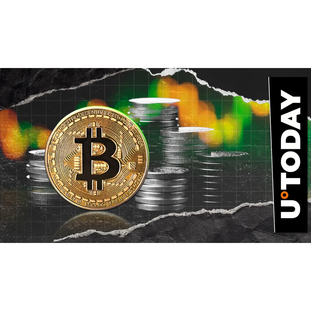 Bitcoin whale moves 0 million on Binance after price hits 5,559 Bitcoin whale moves 0 million on Binance after price hits 5,559