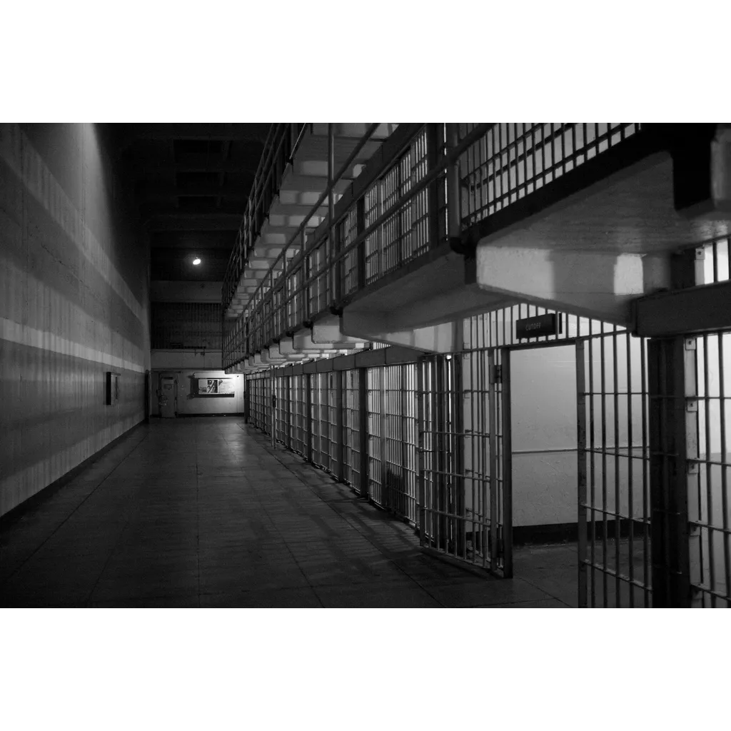 Bitfinex Hacker Freed Early From Prison Under 2018 Trump Law Bitfinex Hacker Freed Early From Prison Under 2018 Trump Law