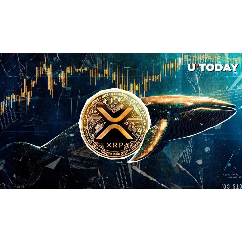 Whale Betting Against XRP Liquidated Whale Betting Against XRP Liquidated