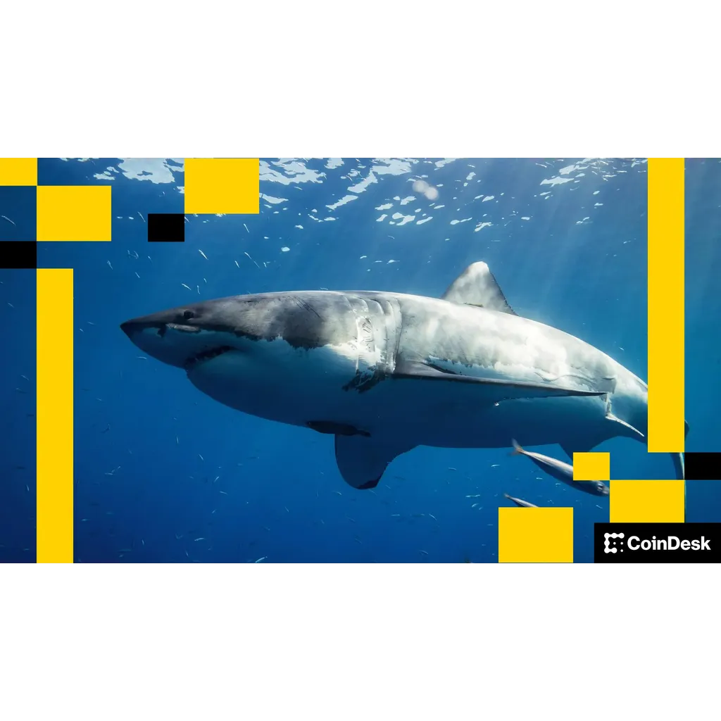 Ethereum requires constant movement for survival similar to sharks Ethereum requires constant movement for survival similar to sharks