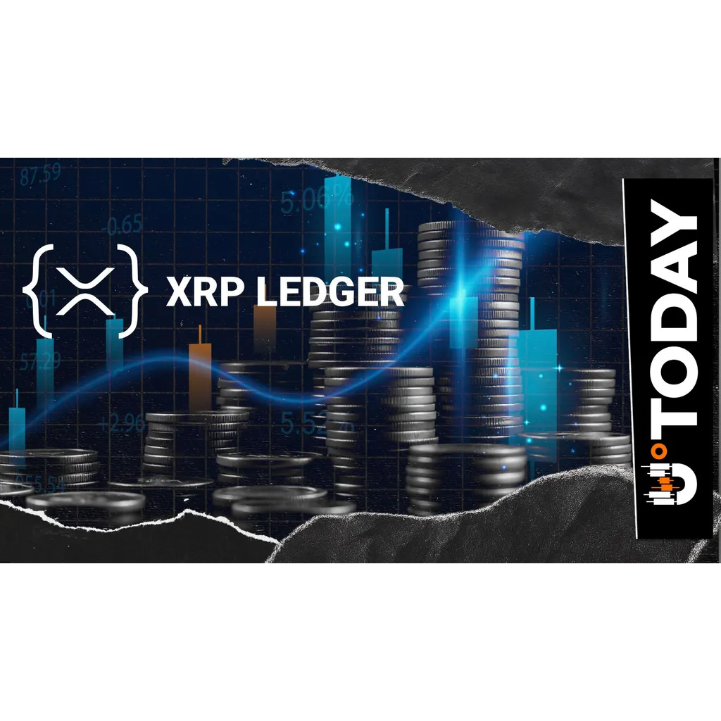 XRP: Unusual On-Chain Spike Raises Questions XRP: Unusual On-Chain Spike Raises Questions