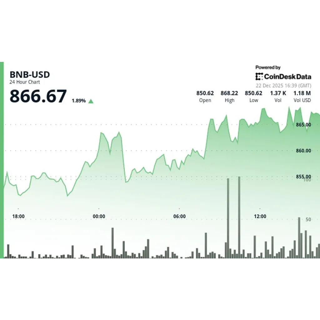 BNB lags market despite break above 0 as scrutiny of Binance grows BNB lags market despite break above 0 as scrutiny of Binance grows