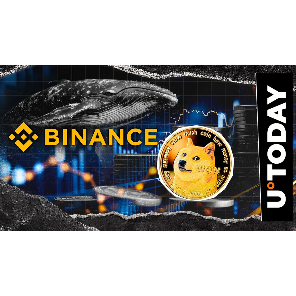 Dogecoin whale withdraws 10,366,683 DOGE from Binance Dogecoin whale withdraws 10,366,683 DOGE from Binance