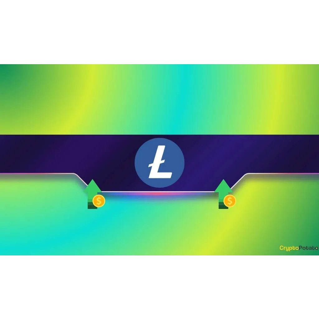 Crypto Market Growth Potential Crypto Market Growth Potential