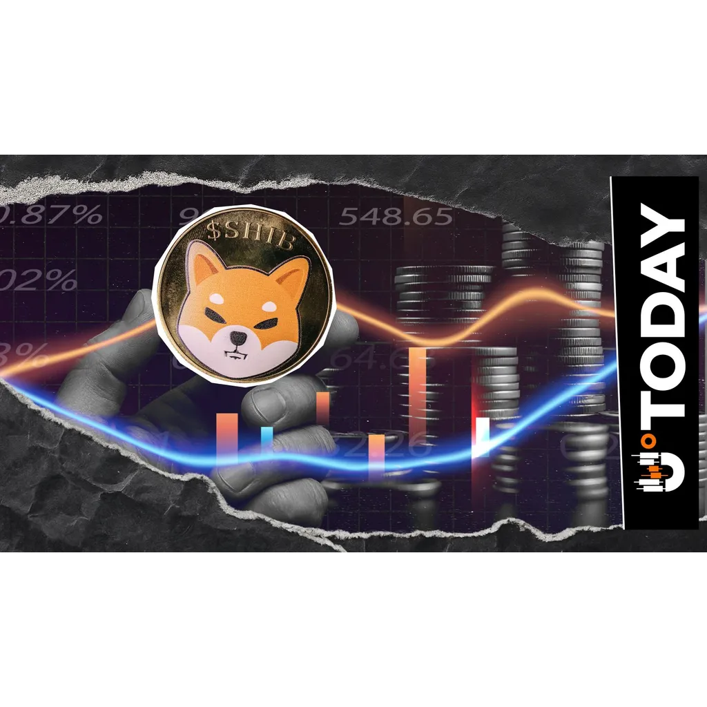 SHIB Team Pushes Back on Fears, Says Shiba Inu Cycle Is Not Over SHIB Team Pushes Back on Fears, Says Shiba Inu Cycle Is Not Over