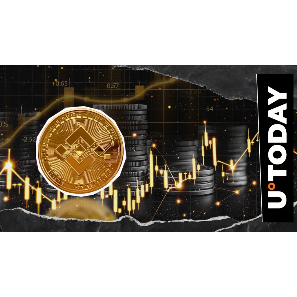 Binance Coin BNB breaks 0 price level amid cycle speculation Binance Coin BNB breaks 0 price level amid cycle speculation
