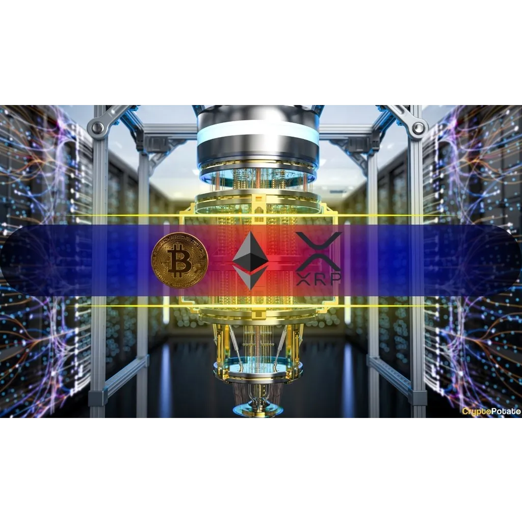 Ranking the Most and Least Quantum-Resistant Assets Ranking the Most and Least Quantum-Resistant Assets