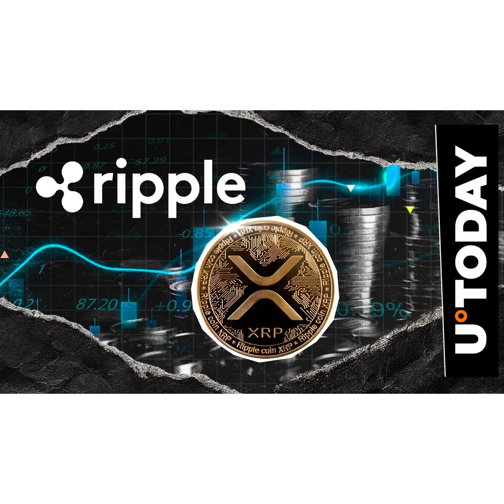 Ripple executes 0 million XRP transfer amid market speculation Ripple executes 0 million XRP transfer amid market speculation